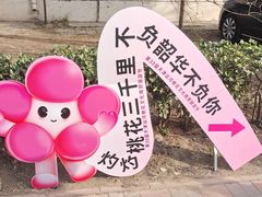 -桃花堤公园
