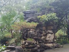 -南山植物园
