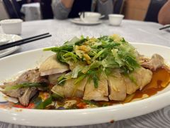 招牌葱油鸡-粤·向群饭店(龙津东路总店)