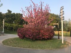 -大宁灵石公园西门票处