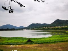 -风云岭森林公园