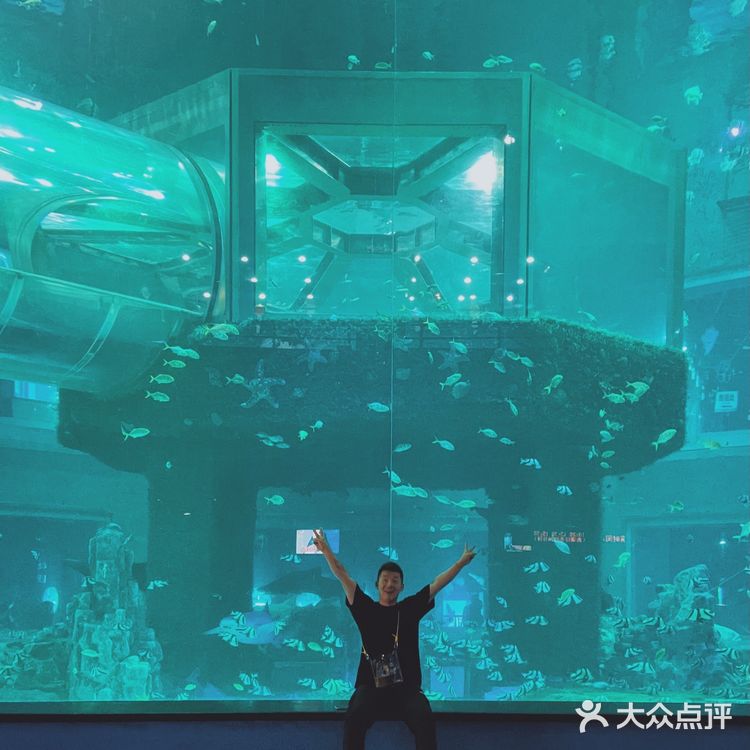 这个夏天这样玩｜大连老虎滩海洋公园攻略