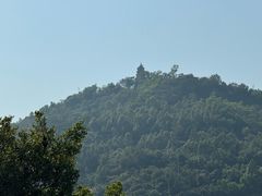 -顺峰山公园