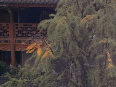 -古大圣慈寺