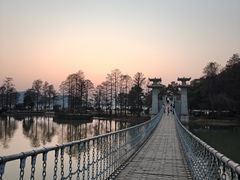 -东湖落雁景区
