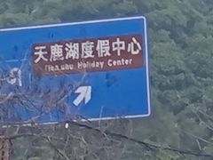 -天鹿湖森林公园