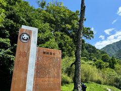 -卧龙中华大熊猫苑神树坪基地