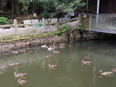 -珠海叠泉山庄