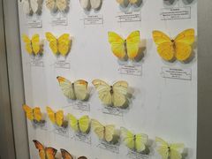 -吉林省自然博物馆
