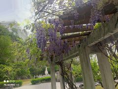 -幕燕滨江·长江观音景区