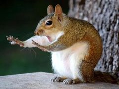 -上海动物园(地铁站)