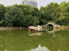 -新江湾城公园