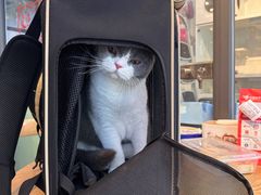 -萌兽医馆·眼科·异宠专科(三里屯店)
