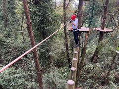 -芦仙山景区-飞越丛林探险乐园
