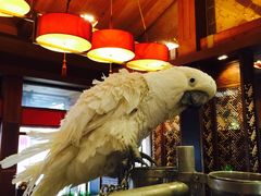 -那家小馆•北京菜•烤鸭(香山店)