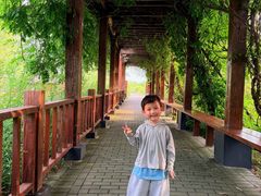 -池杉湖湿地公园