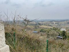 -川南大草原