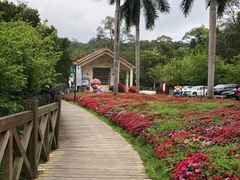 -广州市流溪河国家森林公园