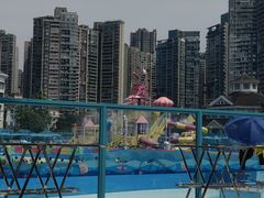 -海合安成都极地海洋公园