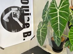 -尔本咖啡(星光荟店)