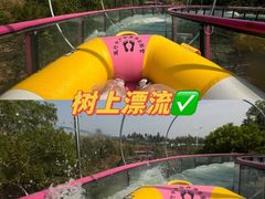 -盈香心动乐园