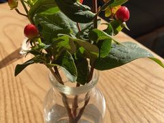 -gaga(深圳福田星河COCO Park店)