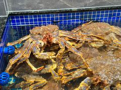 -东海怡品海鲜豆捞(舟宿夜江店)