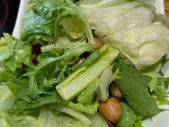 大拌菜-安诚居干锅鸭头(八角店)