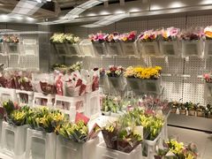 -盒马X会员店(王府井奥莱UP TOWN店)