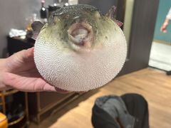 -鲐赏河豚(长寿店)
