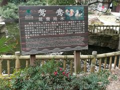 -东湖落雁景区