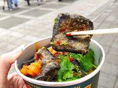 -董顺桃老长沙臭豆腐(步行街店)