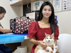 -美联众合爱康动物医院•复杂内科•肿瘤科•牙科•腔镜诊疗中心