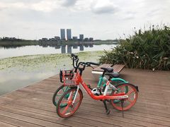 -星巴克(成都科学城店)