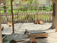 -水上乐园·欢乐世界