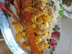 -Red Lobster