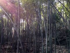 -敬亭山风景名胜区