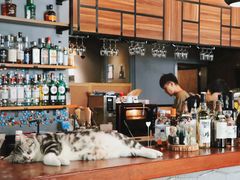 -咖法森林·咖啡  酒吧(天河店)