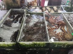 -大湾区中央湿地公园-十九涌
