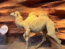 -酷嗒动物文化乐园(cutezoo西溪乐天城店)