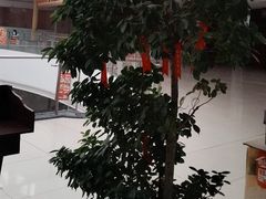 -偶屋里钵少爷(时代广场店)