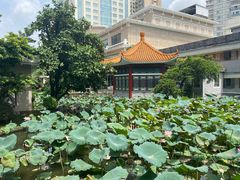 -番禺宾馆丽苑厅