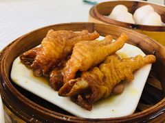 鼓汁凤爪-雅园大酒楼(东门店)