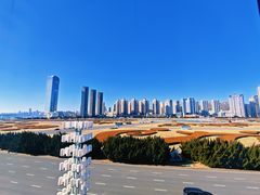 -奕景海鲜·大连菜(星海广场店)