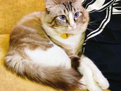 -白兔子密室(长寿路店)