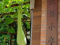 -北马山庄植趣咖啡
