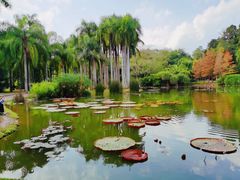 -中国科学院西双版纳热带植物园