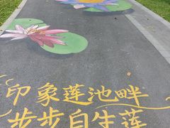 -云溪植物园