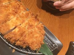 -山杏yama-katsu·吉列炸物
