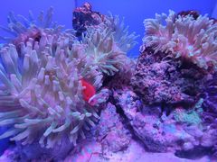 -多彩贵州城极地海洋世界